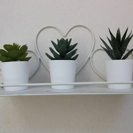 Tra Maggiore E D'orta Terra Appartement Colazza