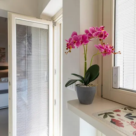 Tra Maggiore E D'orta Terra *