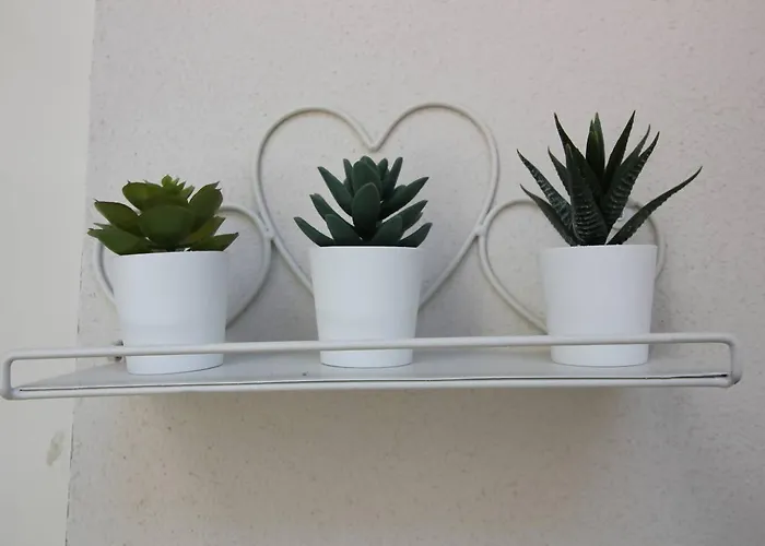 Tra Maggiore E D'orta Terra Apartmán Colazza