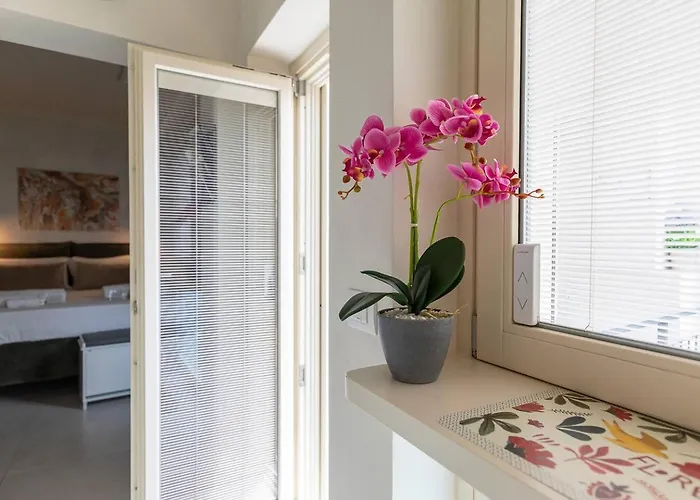 Tra Maggiore E D'orta Terra *